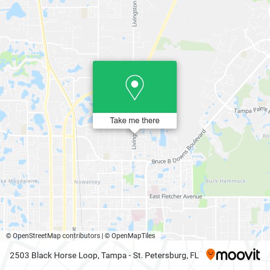 Mapa de 2503 Black Horse Loop