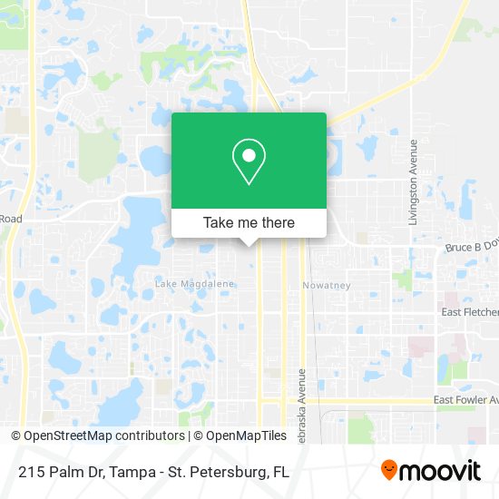 215 Palm Dr map