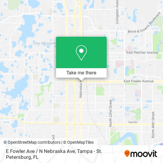 Mapa de E Fowler Ave / N Nebraska Ave