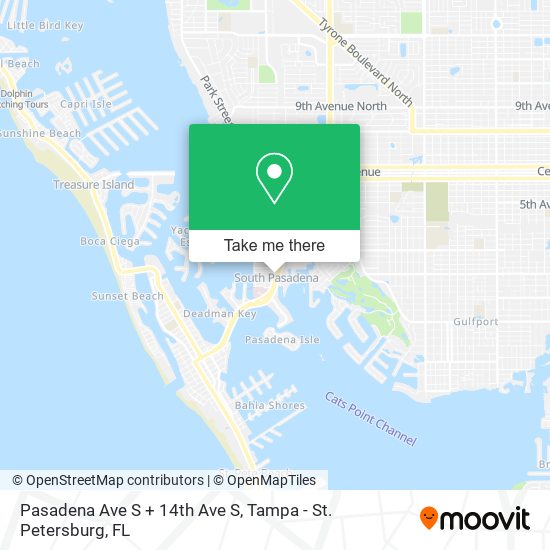 Pasadena Ave S + 14th Ave S map