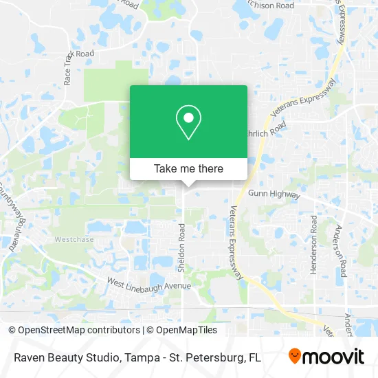 Raven Beauty Studio map