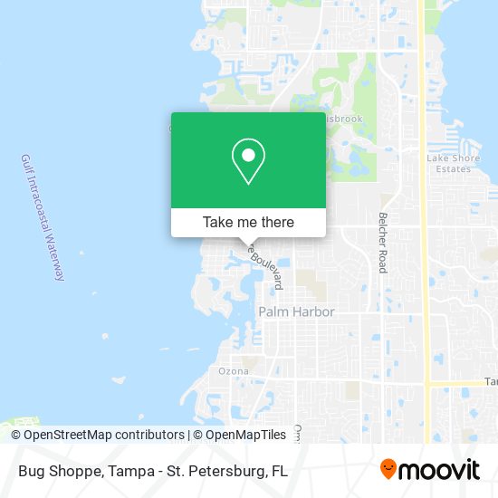 Bug Shoppe map