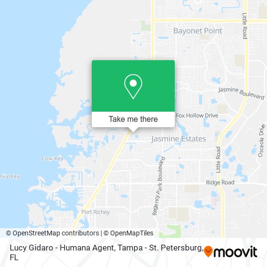 Lucy Gidaro - Humana Agent map