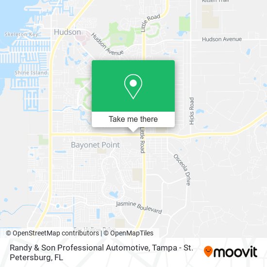 Randy & Son Professional Automotive map