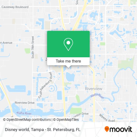 Disney world map
