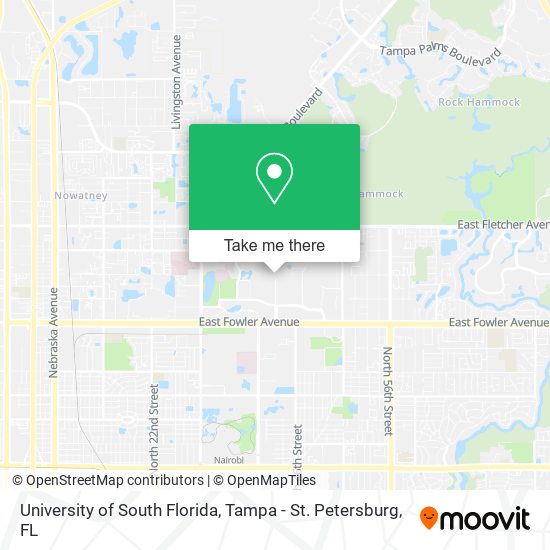 How to get to University of South Florida in Tampa by bus?