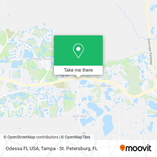 Odessa FL USA map