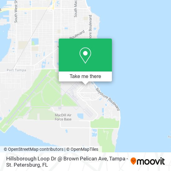 Hillsborough Loop Dr @ Brown Pelican Ave map