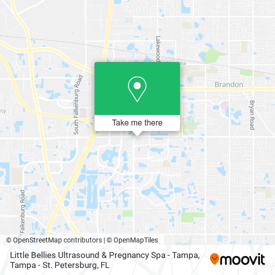 Little Bellies Ultrasound & Pregnancy Spa - Tampa map