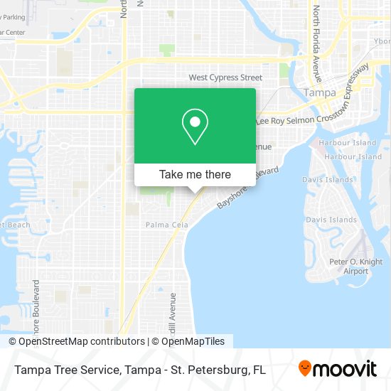 Mapa de Tampa Tree Service