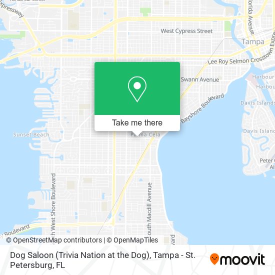 Mapa de Dog Saloon (Trivia Nation at the Dog)