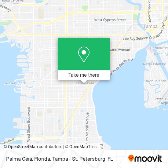 Palma Ceia, Florida map