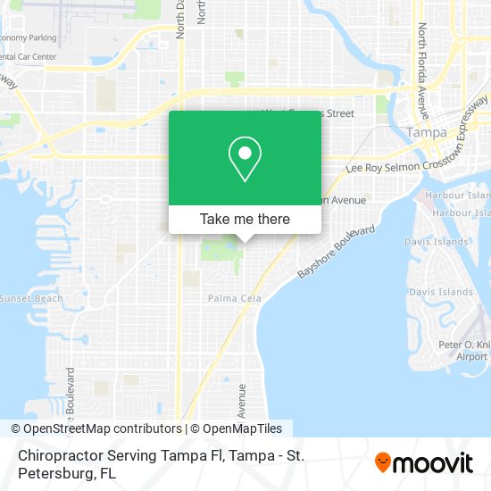 Mapa de Chiropractor Serving Tampa Fl