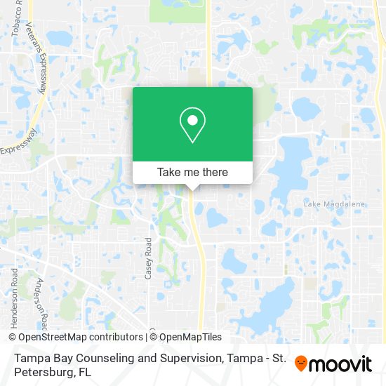 Mapa de Tampa Bay Counseling and Supervision