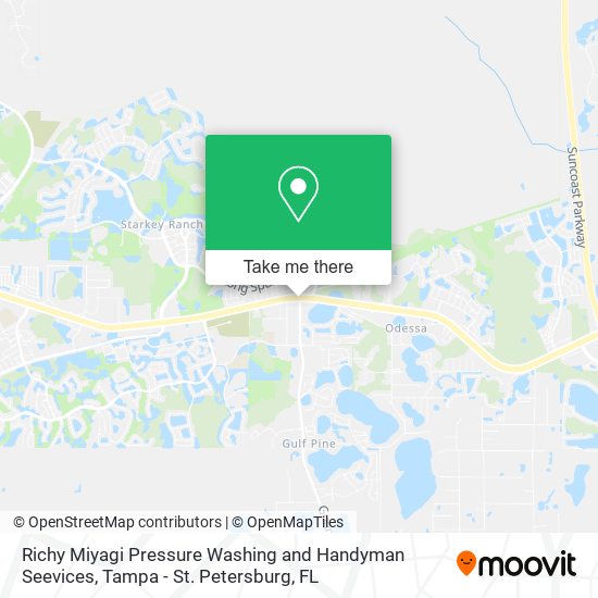 Richy Miyagi Pressure Washing and Handyman Seevices map