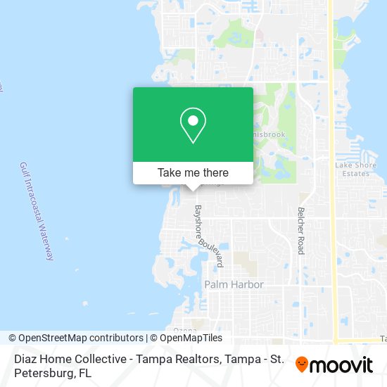 Diaz Home Collective - Tampa Realtors map