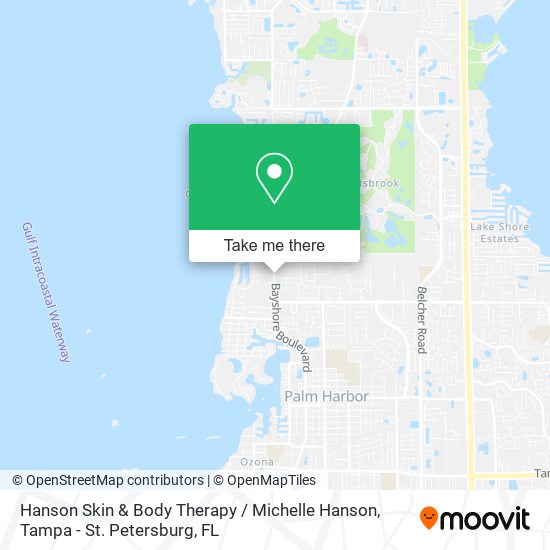 Mapa de Hanson Skin & Body Therapy / Michelle Hanson
