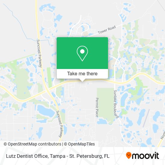 Mapa de Lutz Dentist Office
