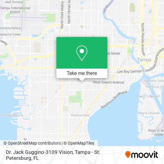 Dr. Jack Guggino-3109 Vision map