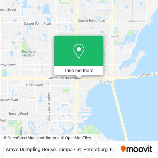 Amy's Dumpling House map