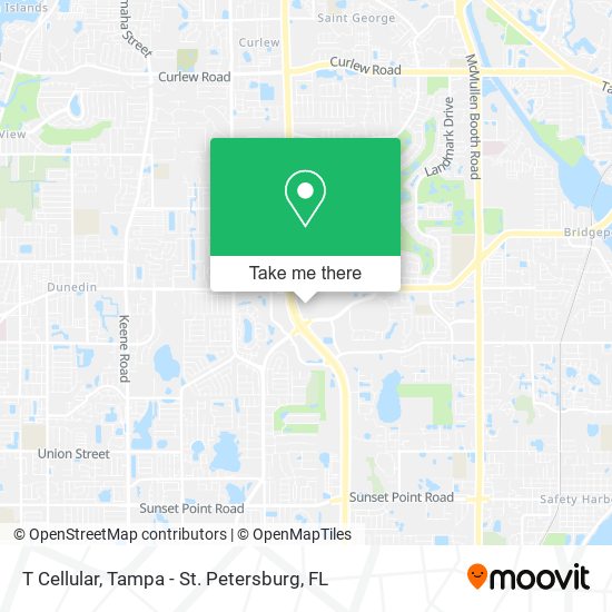 T Cellular map