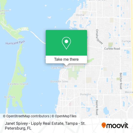 Janet Spivey - Lipply Real Estate map