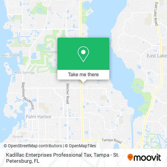 Kadillac Enterprises Professional Tax map