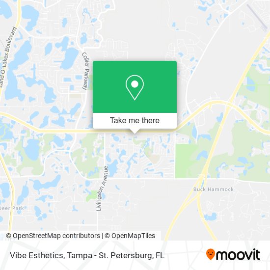 Vibe Esthetics map