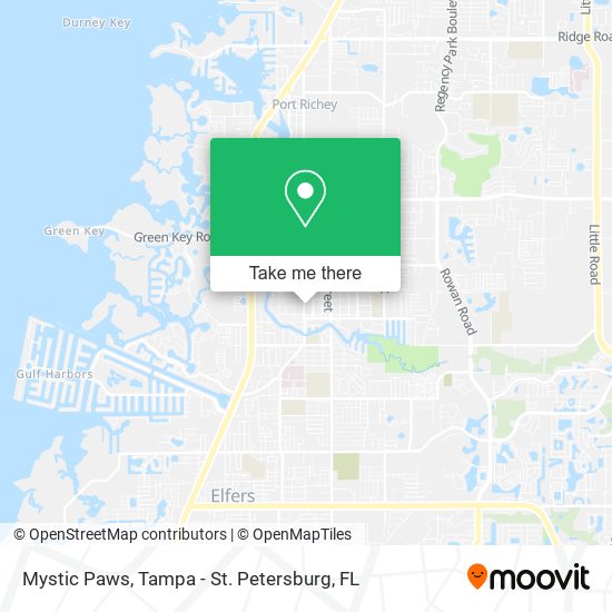 Mystic Paws map