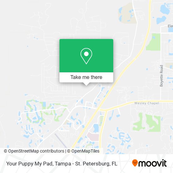 Mapa de Your Puppy My Pad