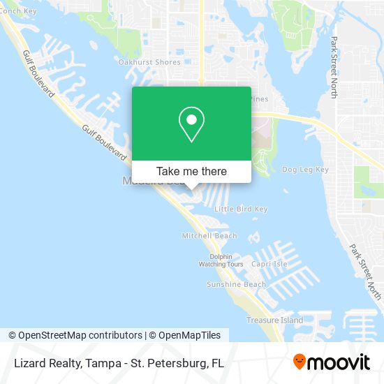 Lizard Realty map