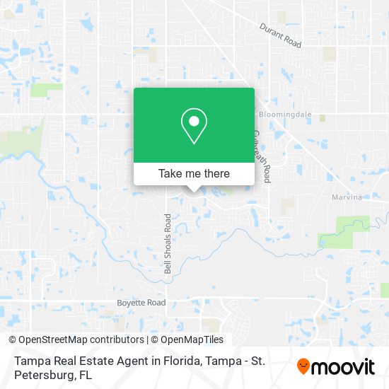 Mapa de Tampa Real Estate Agent in Florida