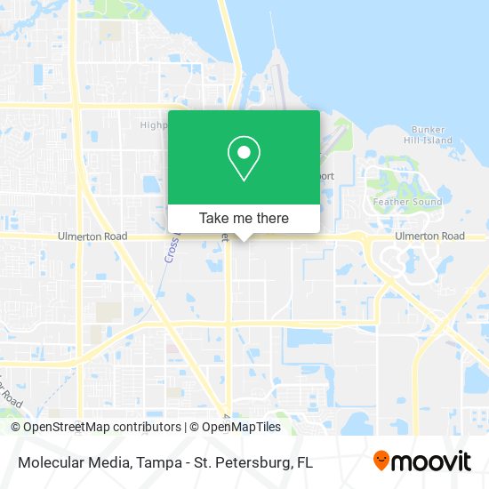 Molecular Media map