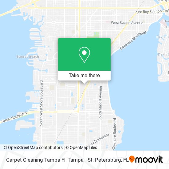 Carpet Cleaning Tampa Fl map