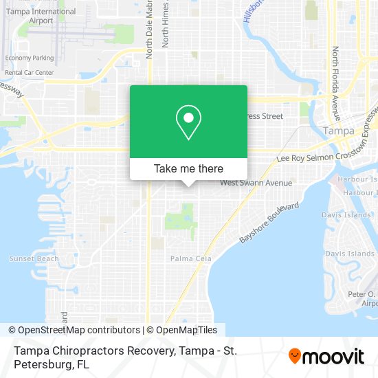 Tampa Chiropractors Recovery map