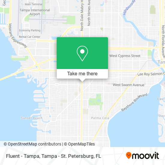 Fluent - Tampa map