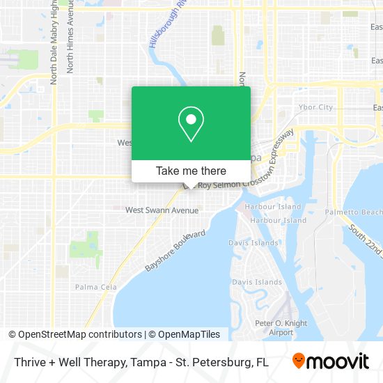 Mapa de Thrive + Well Therapy
