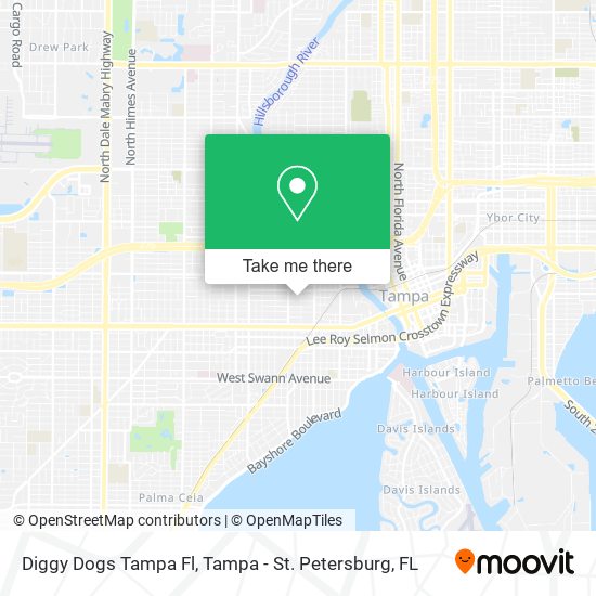 Mapa de Diggy Dogs Tampa Fl