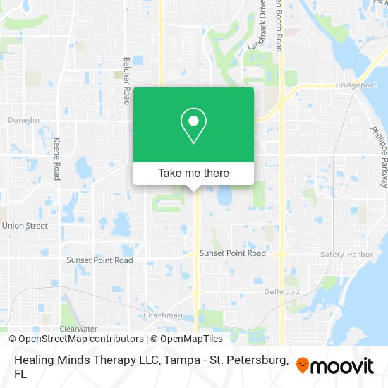 Healing Minds Therapy LLC map