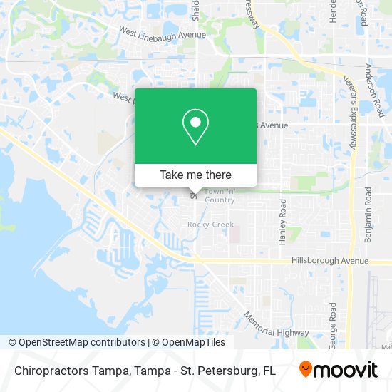 Chiropractors Tampa map