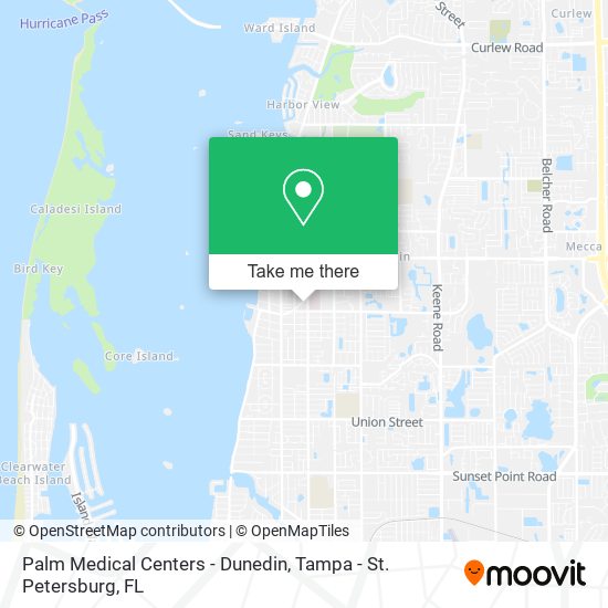 Palm Medical Centers - Dunedin map