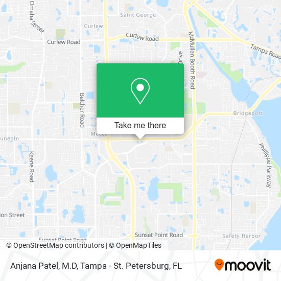 Anjana Patel, M.D map