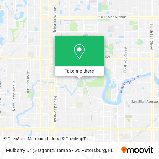 Mapa de Mulberry Dr @ Ogontz