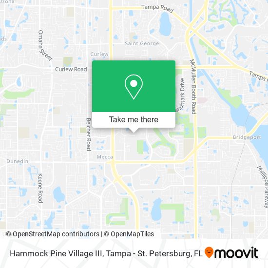 Mapa de Hammock Pine Village III