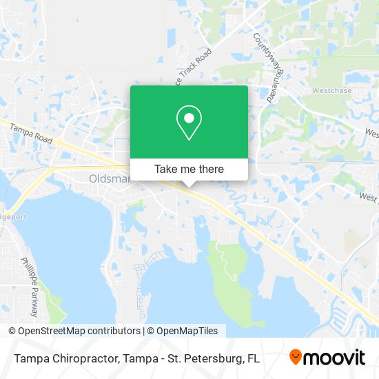 Mapa de Tampa Chiropractor