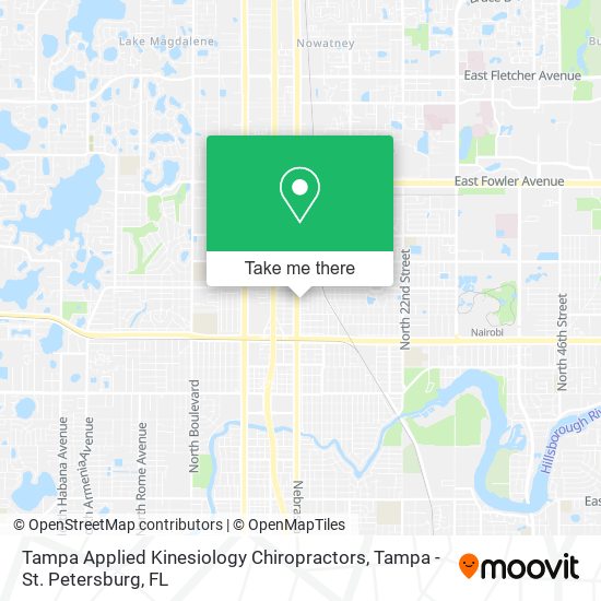 Tampa Applied Kinesiology Chiropractors map