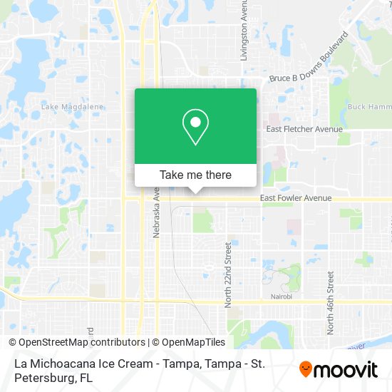La Michoacana Ice Cream - Tampa map