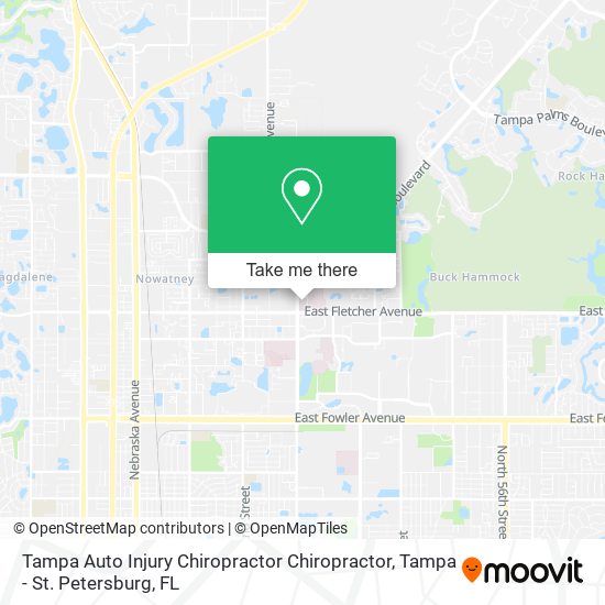 Tampa Auto Injury Chiropractor Chiropractor map
