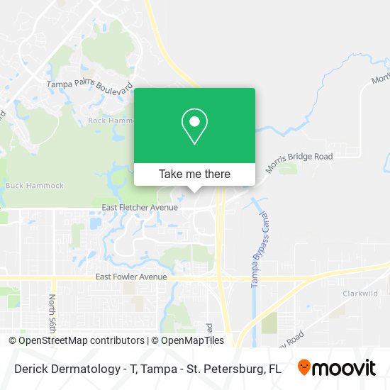 Derick Dermatology - T map