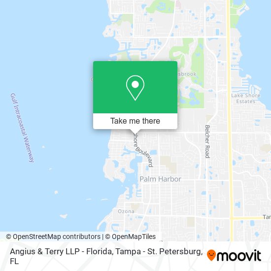 Mapa de Angius & Terry LLP - Florida